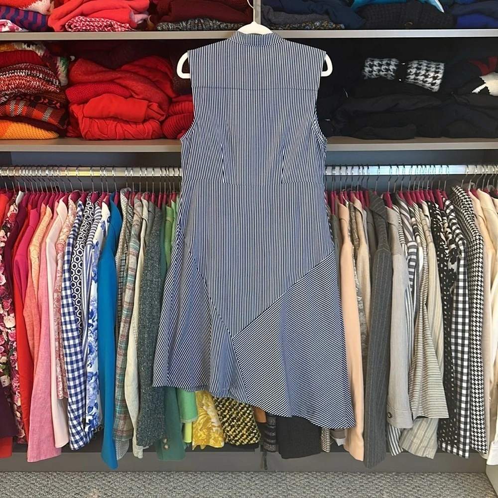 Elizabeth & James navy and white pinstripe sleeveless v neck  dress size 4